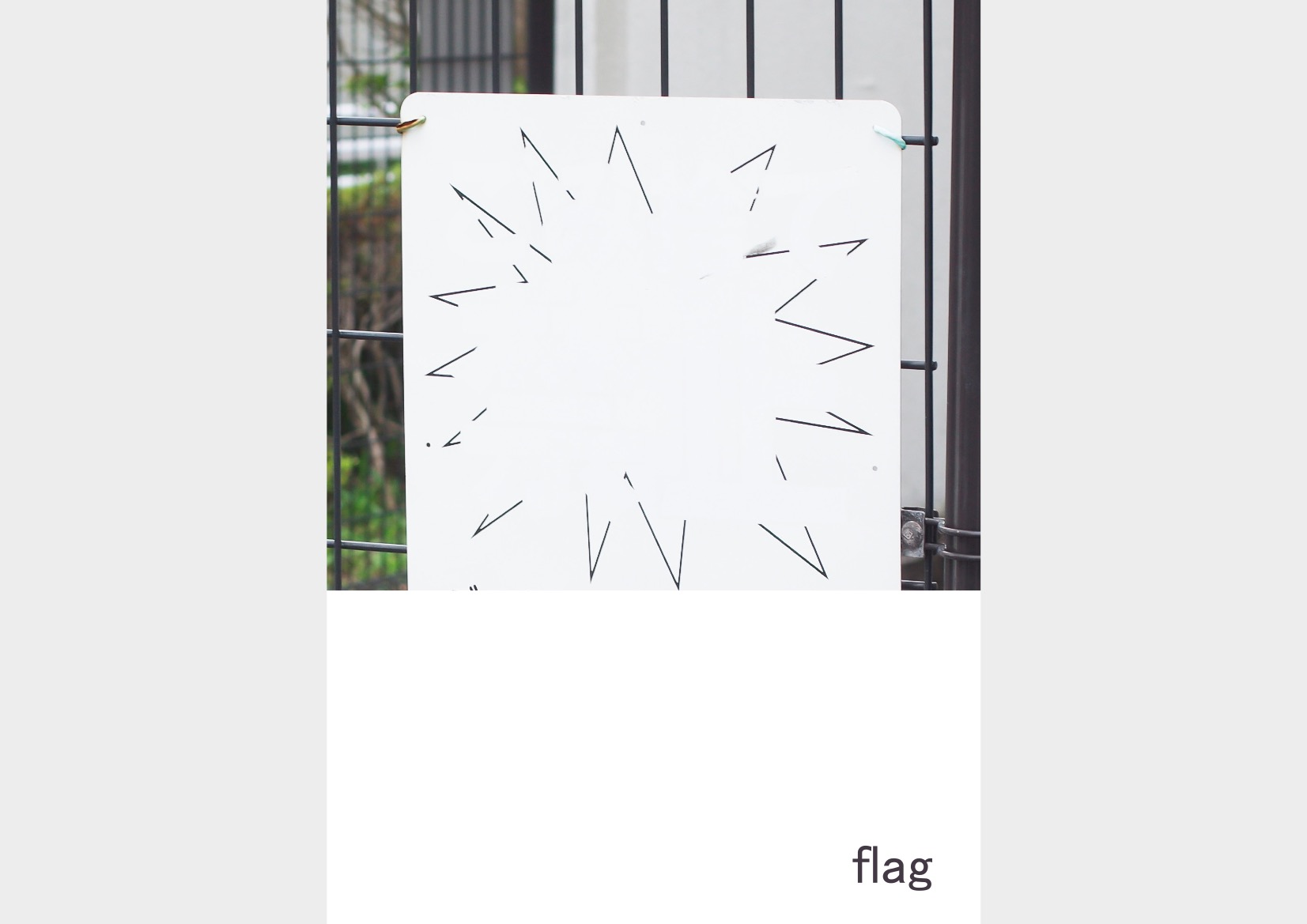 flag BOOKの画像